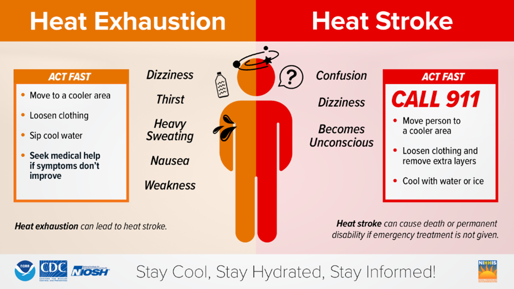Human Sun Safety